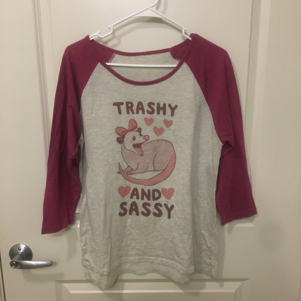Trashy & Sassy possum raglan